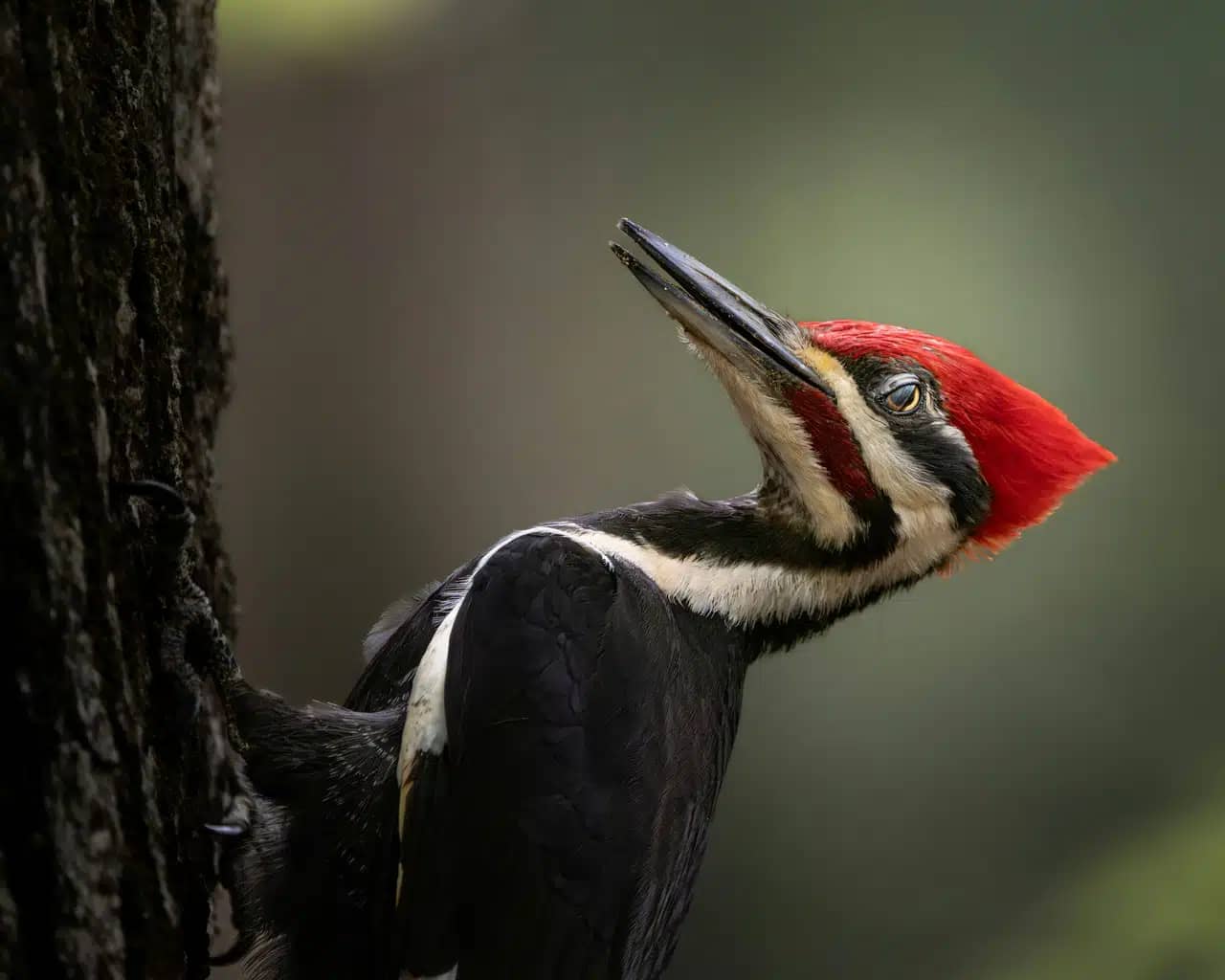 Demo photo